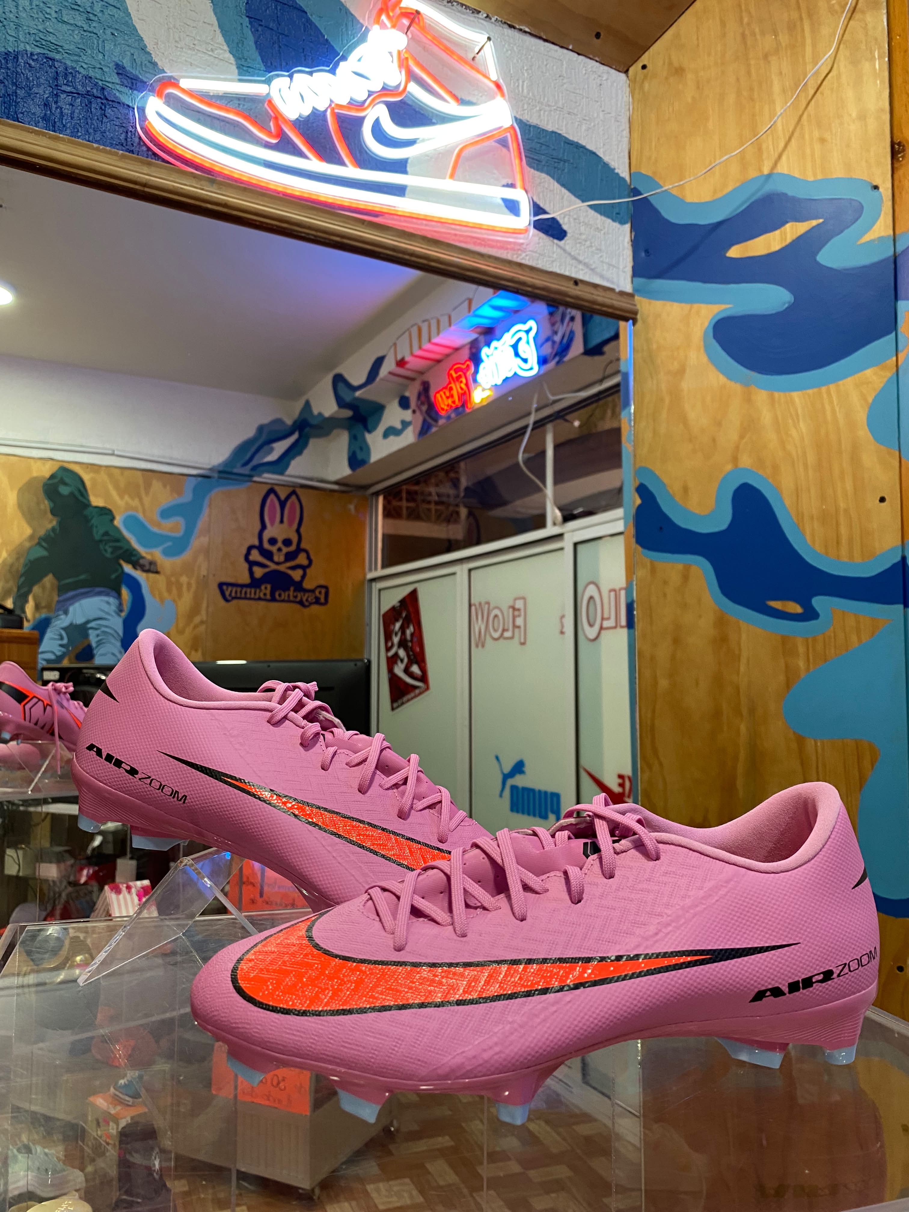 Tenis Nike (tacho)